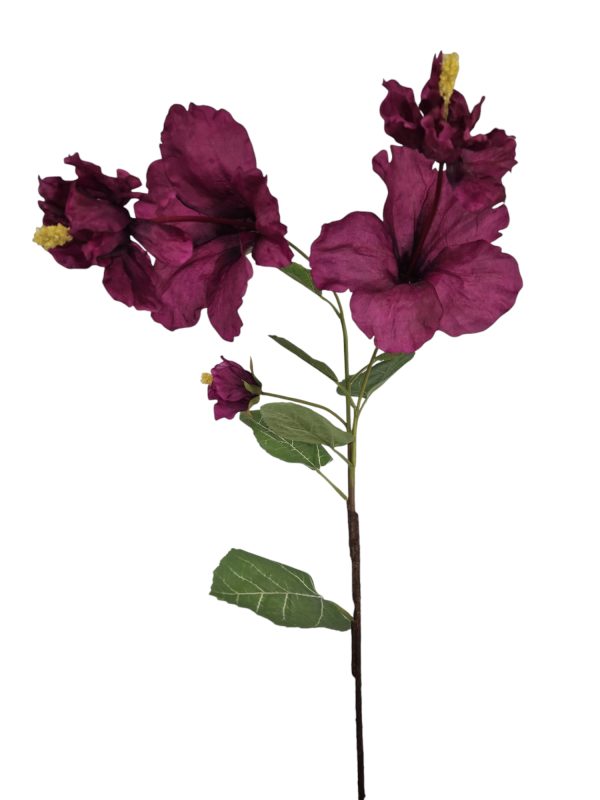 Hibiscus, Purple, 106cm.