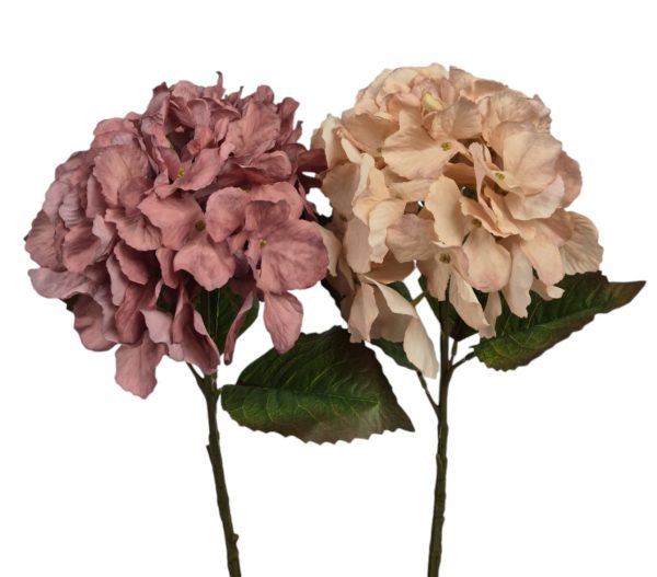 Hydrangea, pink 12x + creme 12x, 48cm