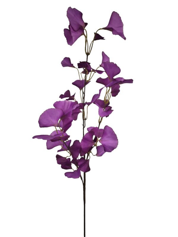 Ginko, Purple, 96cm.