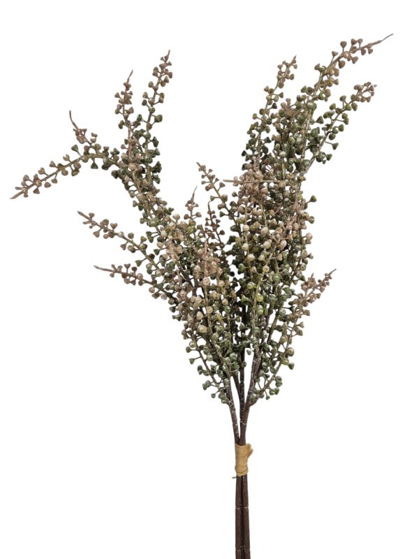 Berry bush, Grey brown, 30cm