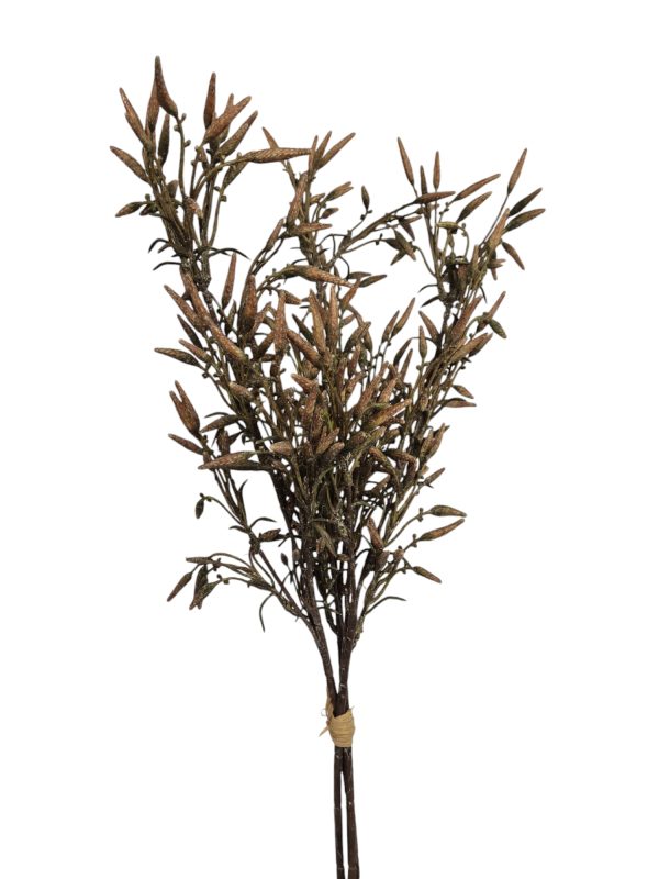 Elzen bush, Brown, 30cm