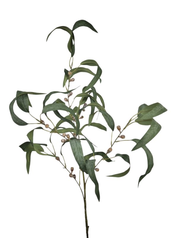 Eucalyptus bes, green, 100cm