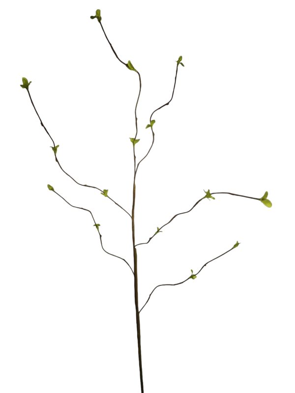 Willow, Green, 110cm.