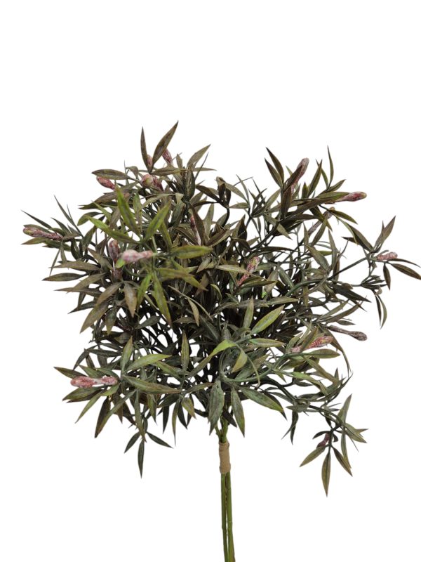 Alnus bush, Grey, 25cm