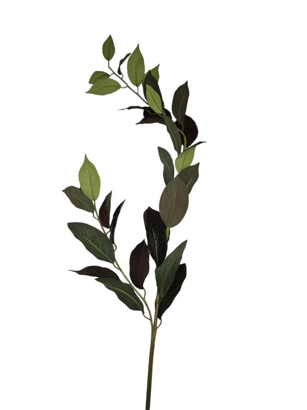 Portugese laurier, green, 115cm
