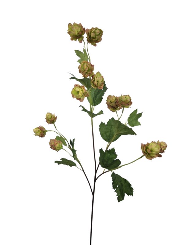 Hop, Pink, 76cm.