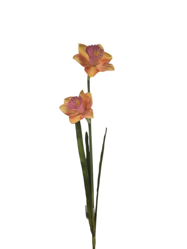 Narcis, 2 heads, Orange, 60cm