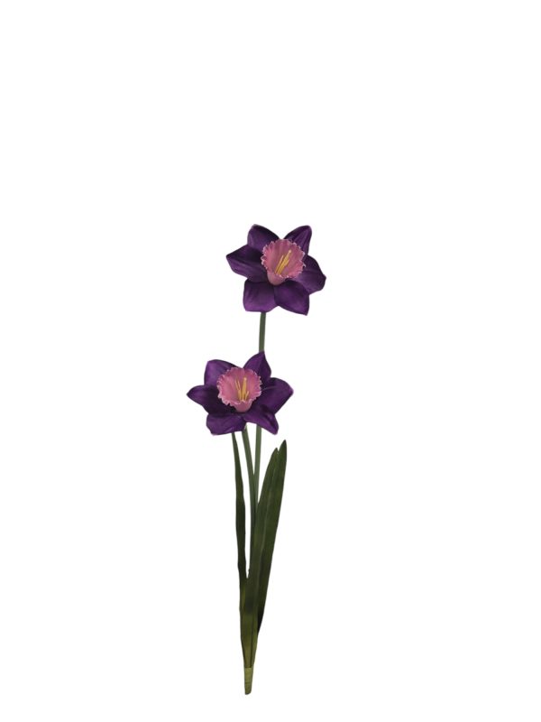 Narcis, 2 heads, Purple, 60cm