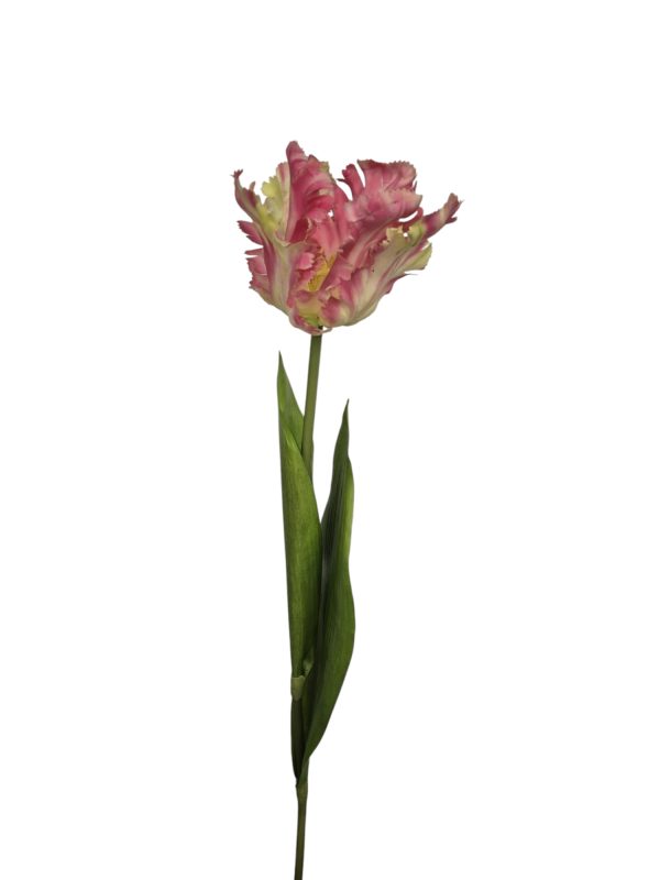 Franse Tulp, Real Touch, Trendy Pink, 65cm