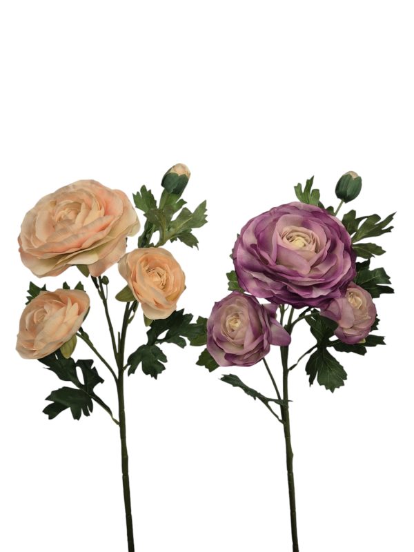 Ranonculus, Peach + purple 12+12 mix, 60cm.