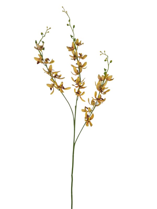 Chinese cymbidium, Yellow, 95cm