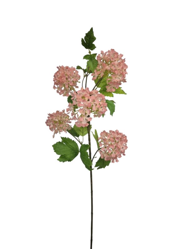 Viburnum, 5 Heads, Pink, 78cm.