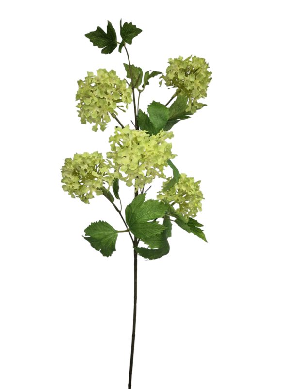 Viburnum, 5 Heads, Green, 78cm