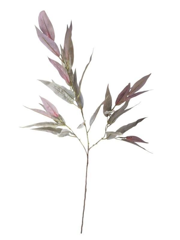 Eucalyptus, Grey Pink, 110cm