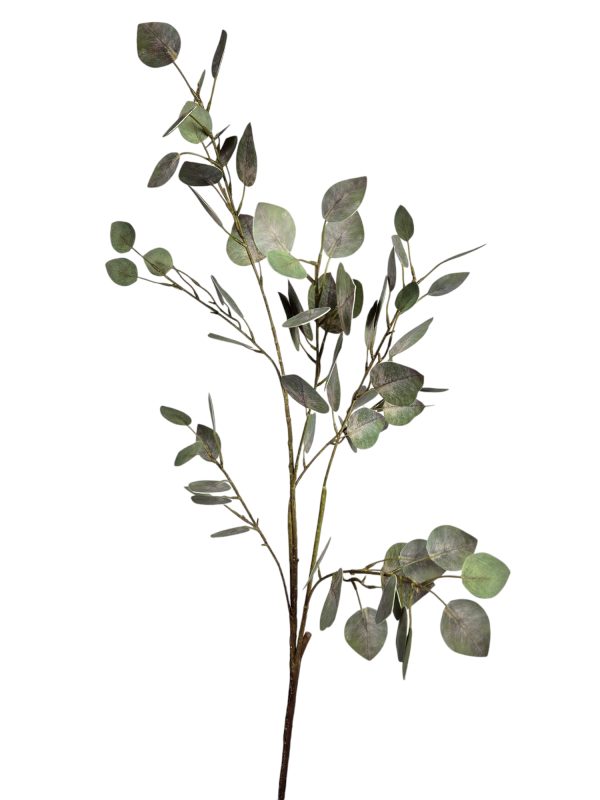 Eucalyptus, Grey, 65cm