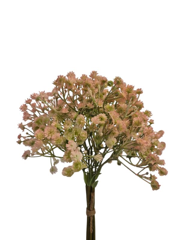 Gyps bush, Peach, 25cm