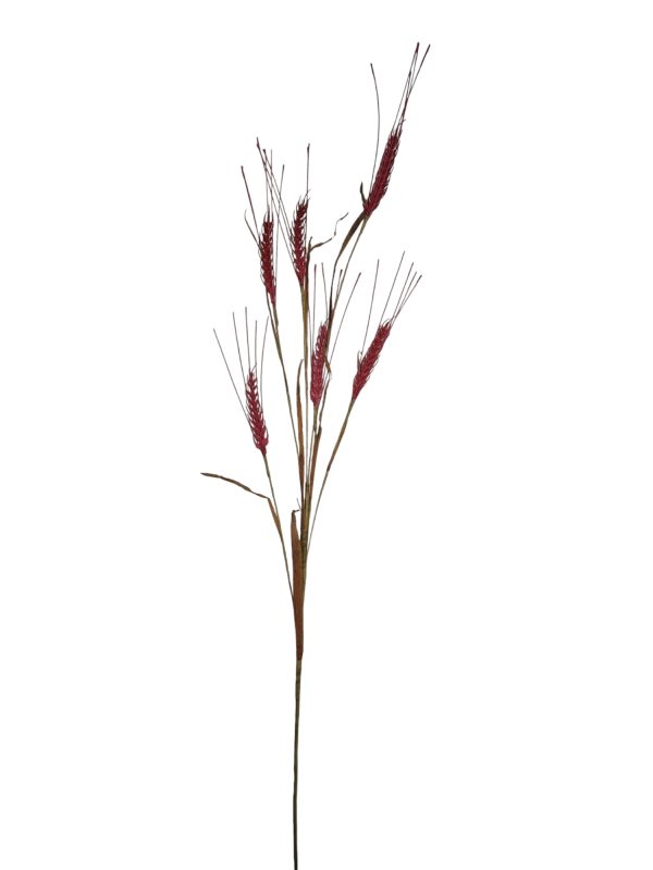 Tarwe Margo, Fuchsia, 95cm. koren