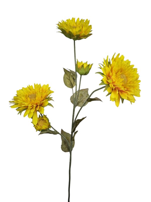 Sunflower (zonnebloem), Yello, 3 Heads, _x000D_
2 Buds, 70cm
