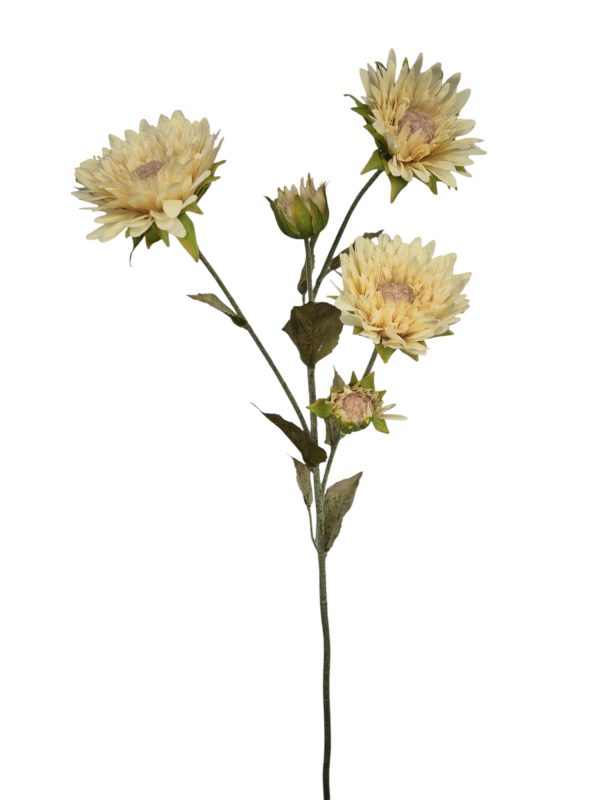 Sunflower (zonnebloem), Beige, 3 Heads, _x000D_
2 Buds, 70cm
