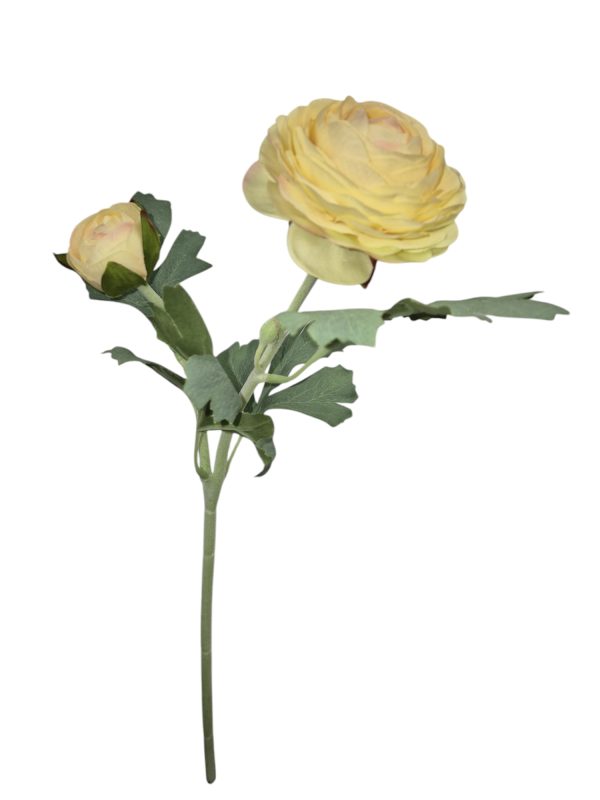 Ranonkel, Licht Yello, Flocked stem, 48cm
