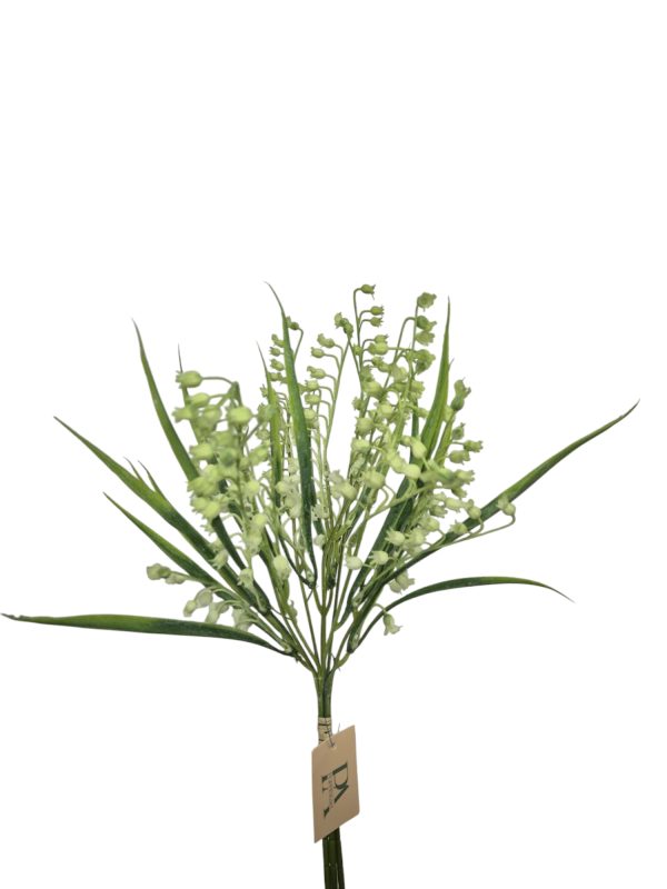 Lelietje van dalen, 3x Bush, white/green, 48cm