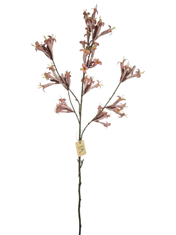 Stephanotis, pink/purple, 110cm
