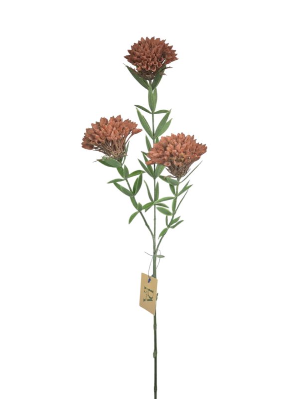 Dianthus 3 head, Red, 72cm,