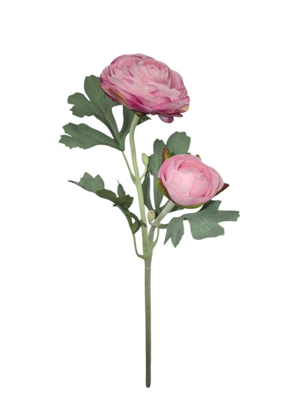 Ranonkel, Pink, Flocked stem, 48cm