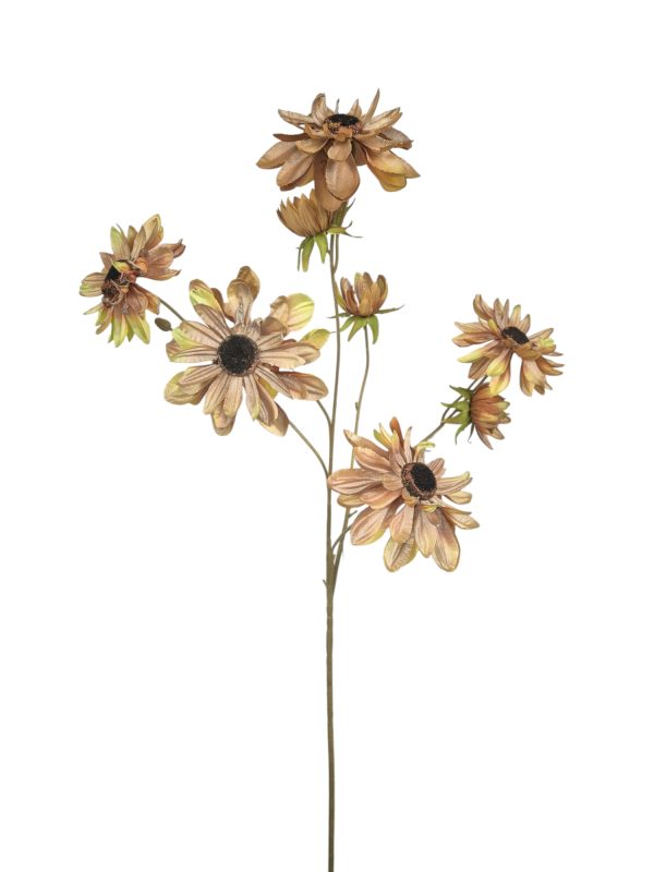 Shiny Aster, Pink/Green, 8 head,3 buds, 78cm