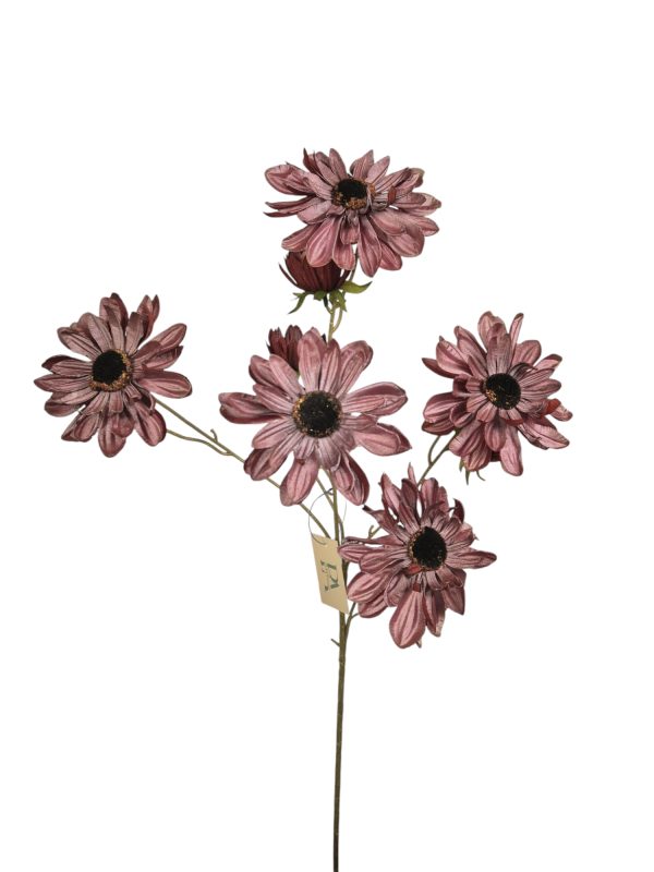 shiny aster, Red,8 head, 3 buds, 78cm