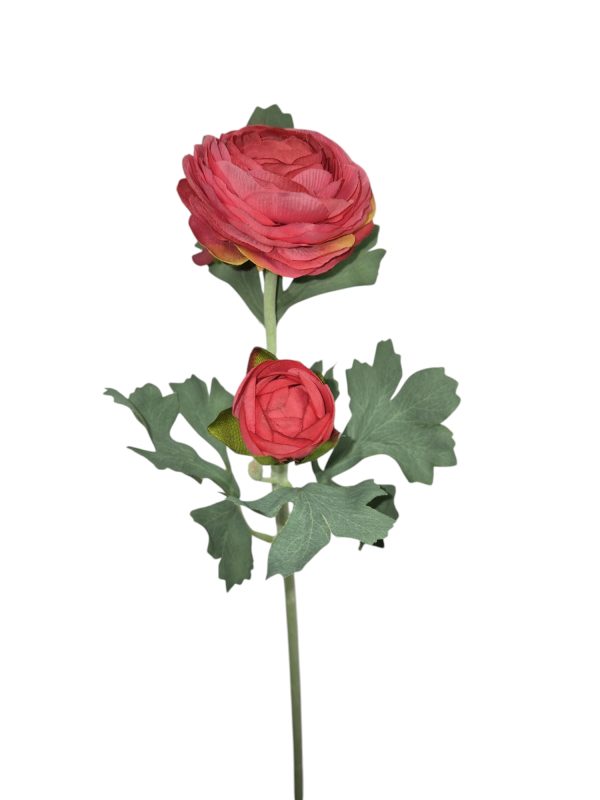 Ranonkel, Fuchsia, Flocked stem, 48cm