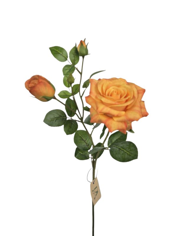 Roos Soft, Orange, 65cm, 2 Head, 2 Buds