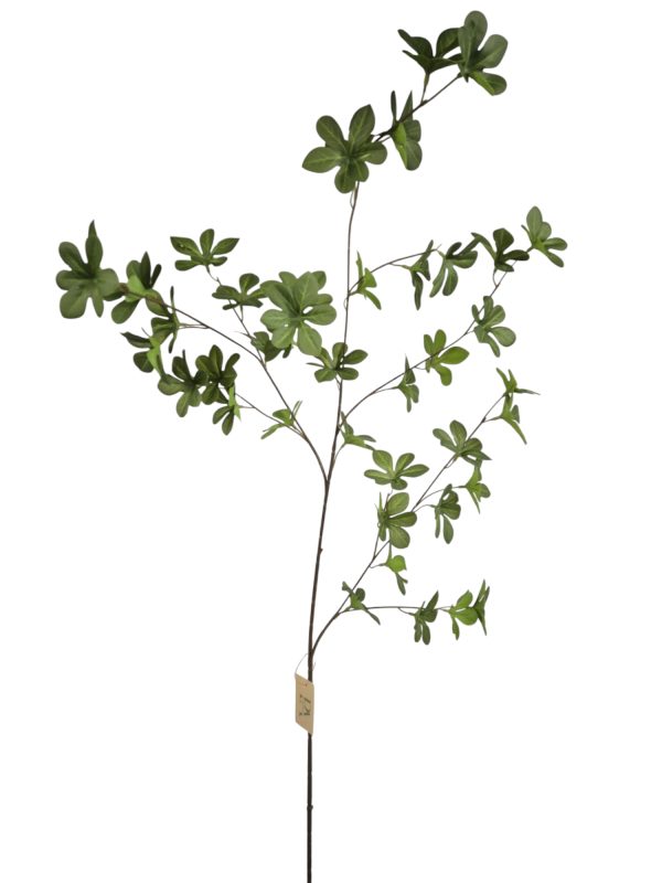 Popping-Leaf, Green, 100cm