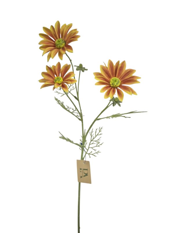 Spaanse Magriet, Orange, Flocked, heads, 2 buds, 61cm