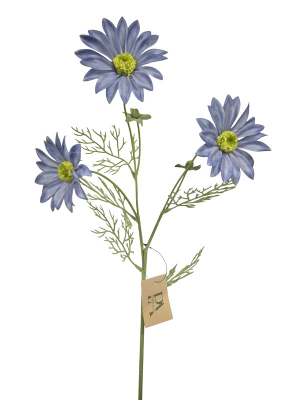 Spaanse Magriet, Blue, Flocked, heads, 2 buds, 61cm