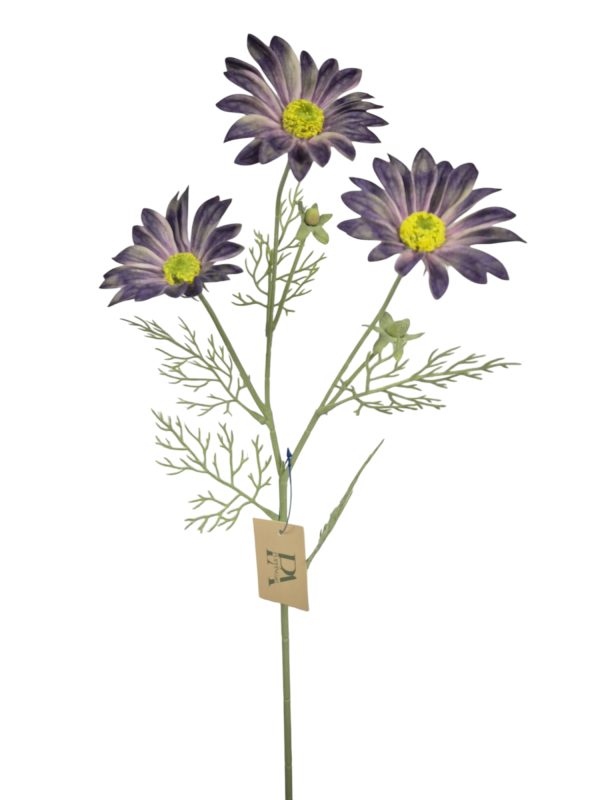 Spaanse Magriet, Purple, Flocked, heads, 2 buds, 61cm