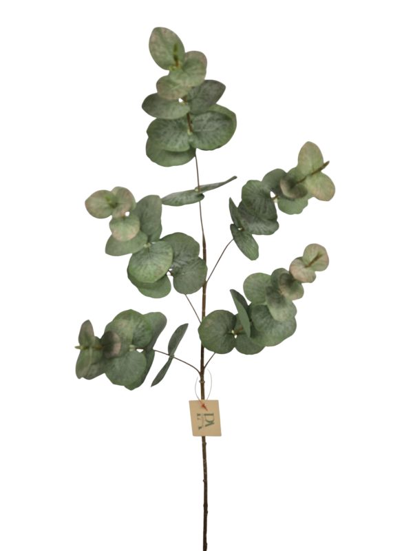 Eucalyptus, Green, 86cm