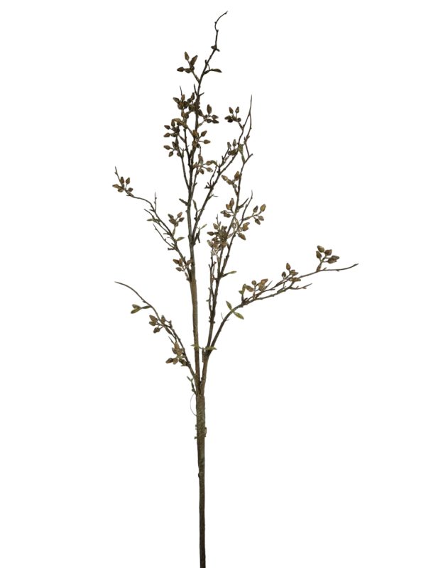 Eucalyptus Bes, Coffee, 120cm