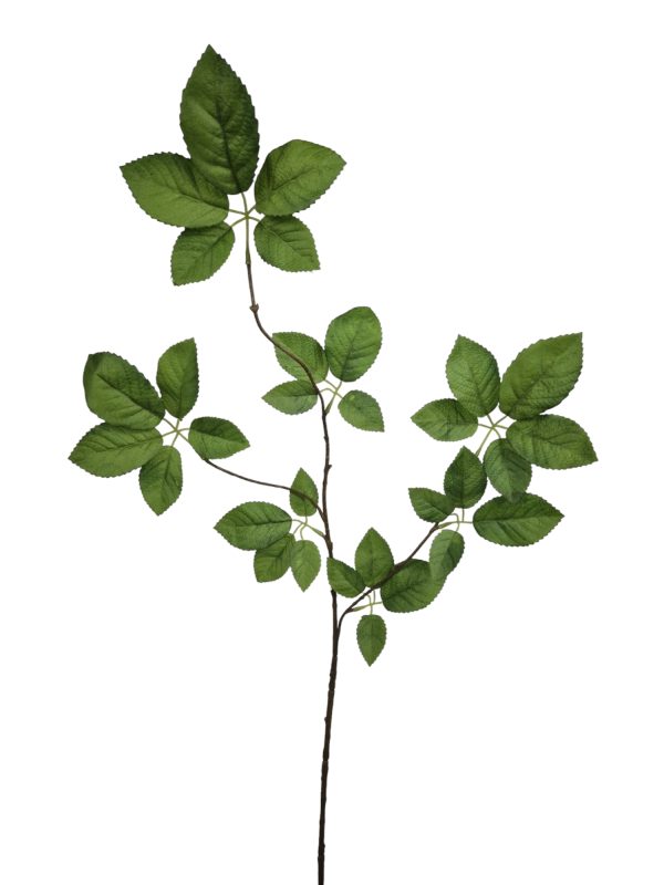 Rose Leaf, Green, 90 cm  (Leverbaar augstus)