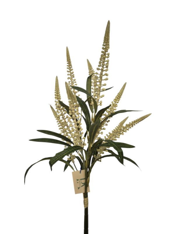 Salvia Bundle, Beige, 60cm