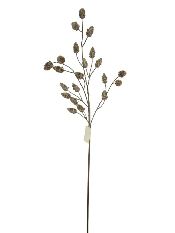 Pine cone Branche, Brown, 90cm