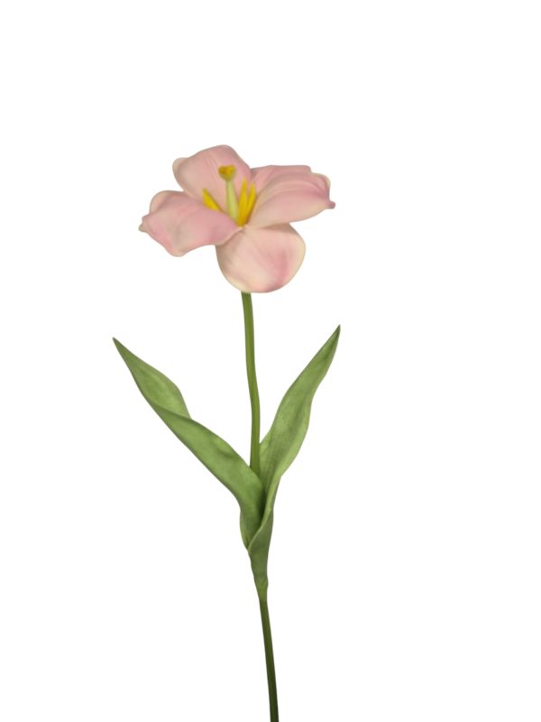 open tulp, Pink, 48cm  (Leverbaar augstus)