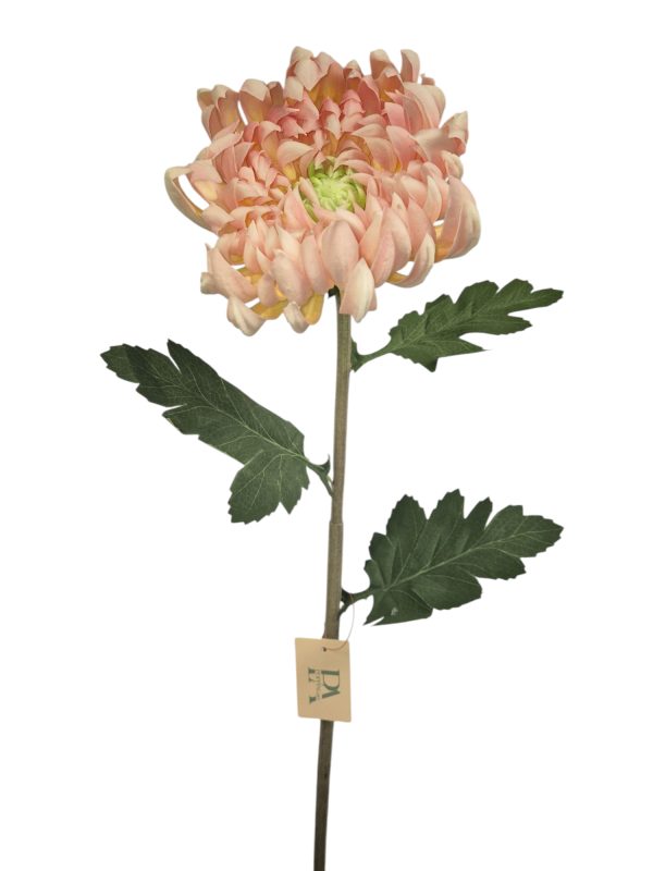 Chrysant real touch, Pink, 72cm  (Leverbaar augstus)