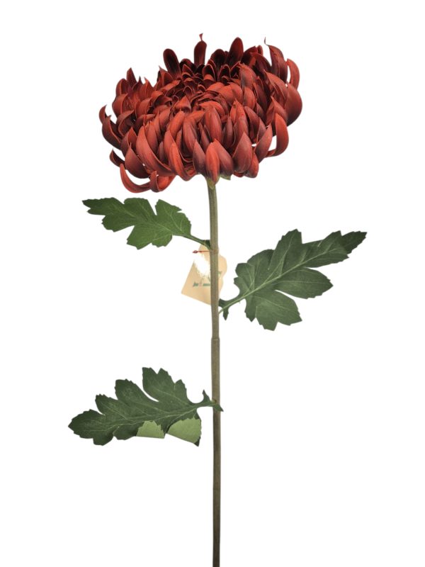 Chrysant real touch, Bugundy, 72cm  (Leverbaar augstus)