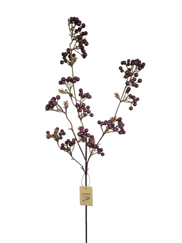 besjes purple, 95cm  (Leverbaar augstus)