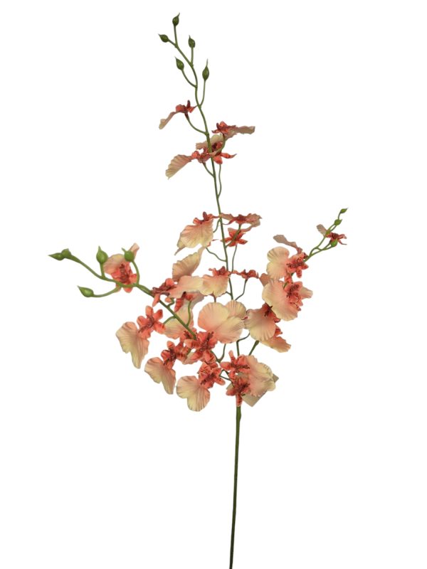 Oncidium orchidee, Hot Pink, 81cm  (Leverbaar augstus)