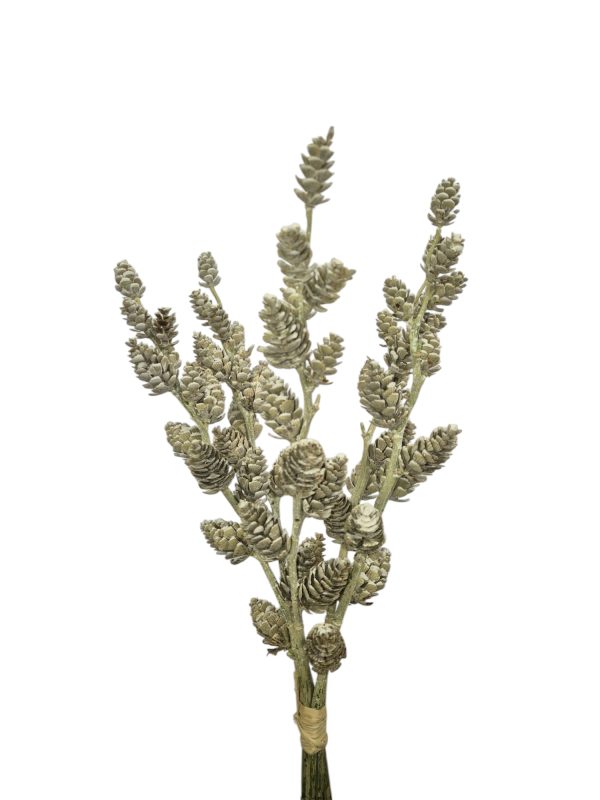 denneappel bundel, 45cm