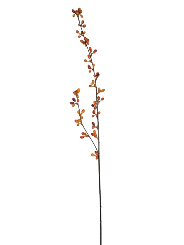 long berry bottel orange, 112cm (Leverbaar augstus)