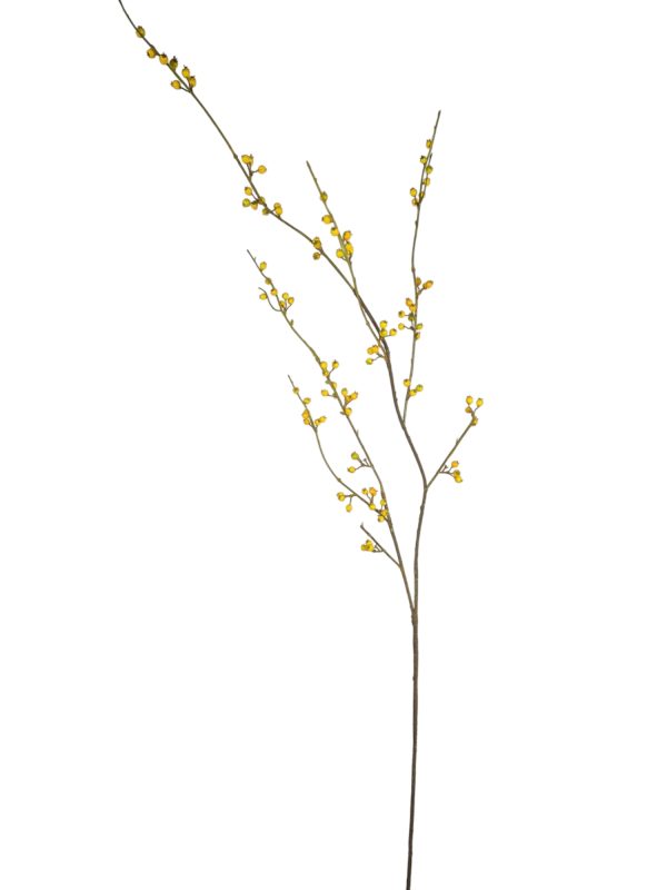 wild berry bottel yellow, 145cm (Leverbaar augstus)