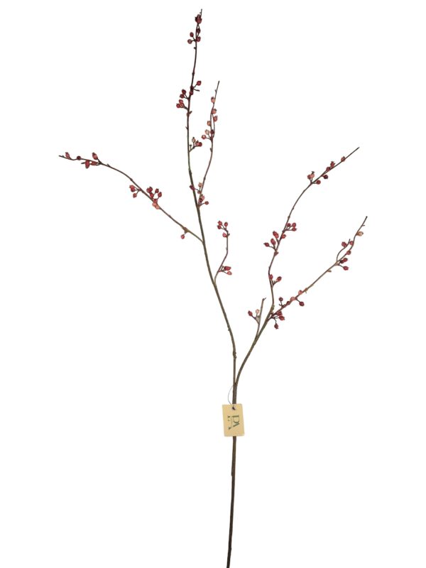 wild berry bottel pink, 145cm (Leverbaar augstus)